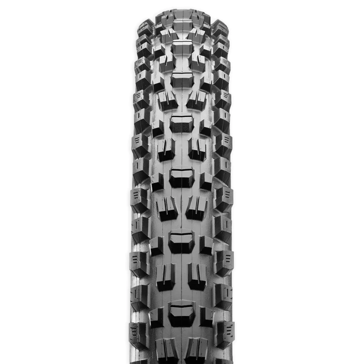 Maxxis Assegai 29x2.60 3c Maxx Terra EXO+ Tubeless Ready - Image 2